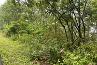 Property for sale in Clay County, North Carolina