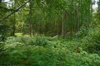 Undeveloped Land for sale in Matanuska-Susitna Borough, Alaska