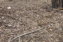 Property for sale in Wyandotte County, Kansas