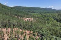 Undeveloped Land for sale in Montgomery County, Arkansas