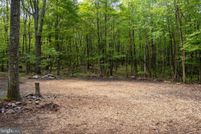 Timberland Property for sale in Garrett County, Maryland