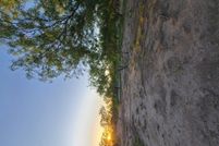 Undeveloped Land for sale in Zavala County, Texas