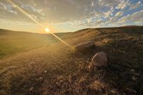 Property for sale in Phillips County, Montana