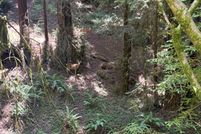 Undeveloped Land for sale in Santa Cruz County, California