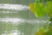 Property for sale in Marion County, Florida