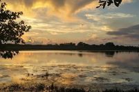 Farm Property for sale in Lake County, Florida