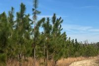 Ranch Property for sale in Coffee County, Georgia