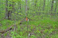 Ranch Property for sale in Sawyer County, Wisconsin