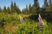 Undeveloped Land for sale in Kenai Peninsula Borough, Alaska