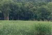 Undeveloped Land for sale in Madison County, Alabama