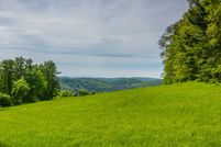 Ranch Property for sale in Litchfield County, Connecticut