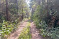 Timberland Property for sale in Liberty County, Texas
