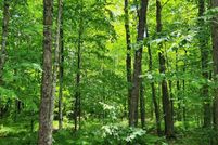 Timberland Property for sale in Sawyer County, Wisconsin