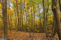Undeveloped Land for sale in Page County, Virginia