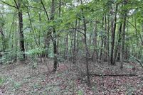 Undeveloped Land for sale in DeKalb County, Alabama