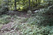 Property for sale in Alleghany County, Virginia