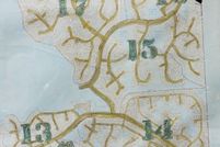 Property for sale in Jasper County, Texas