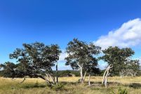 Property for sale in Gillespie County, Texas