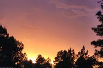 Ranch Property for sale in Navajo County, Arizona