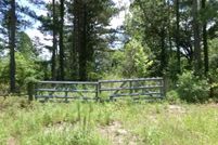 Undeveloped Land for sale in Seminole County, Georgia