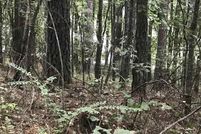 Property for sale in Talladega County, Alabama