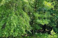 Property for sale in Cleburne County, Arkansas