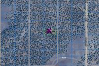 Property for sale in Apache County, Arizona