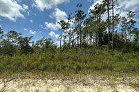 Undeveloped Land for sale in Gulf County, Florida