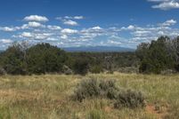 Undeveloped Land for sale in Montezuma County, Colorado