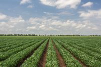 Recreational Property for sale in Chicot County, Arkansas