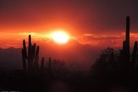Undeveloped Land for sale in Maricopa County, Arizona