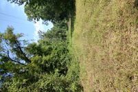 Ranch Property for sale in Calhoun County, Arkansas