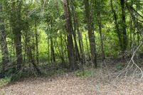 Ranch Property for sale in Camp County, Texas