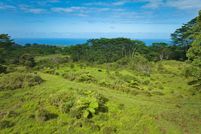 Farm Property for sale in Hawaii County, Hawaii
