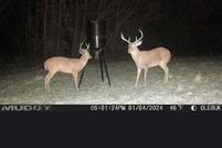 Property for sale in Henry County, Alabama