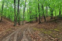 Farm Property for sale in Mason County, Michigan