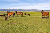Farm Property for sale in Park County, Montana