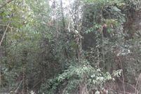 Property for sale in Jasper County, Georgia