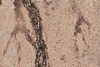 Property for sale in Maricopa County, Arizona