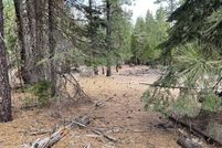 Property for sale in Modoc County, California
