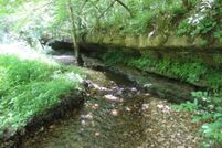 Ranch Property for sale in Boone County, Arkansas