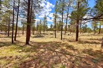 Residential Property for sale in Navajo County, Arizona