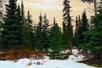 Undeveloped Land for sale in Kenai Peninsula Borough, Alaska