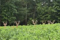 Residential Property for sale in Blount County, Alabama