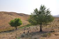 Timberland Property for sale in Elko County, Nevada