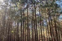 Property for sale in Grady County, Georgia