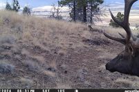 Undeveloped Land for sale in Grant County, Oregon