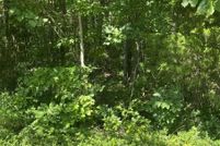 Farm Property for sale in Wayne County, Kentucky
