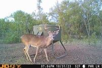 Property for sale in Fisher County, Texas