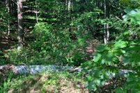 Undeveloped Land for sale in Banks County, Georgia